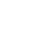 DS Logo